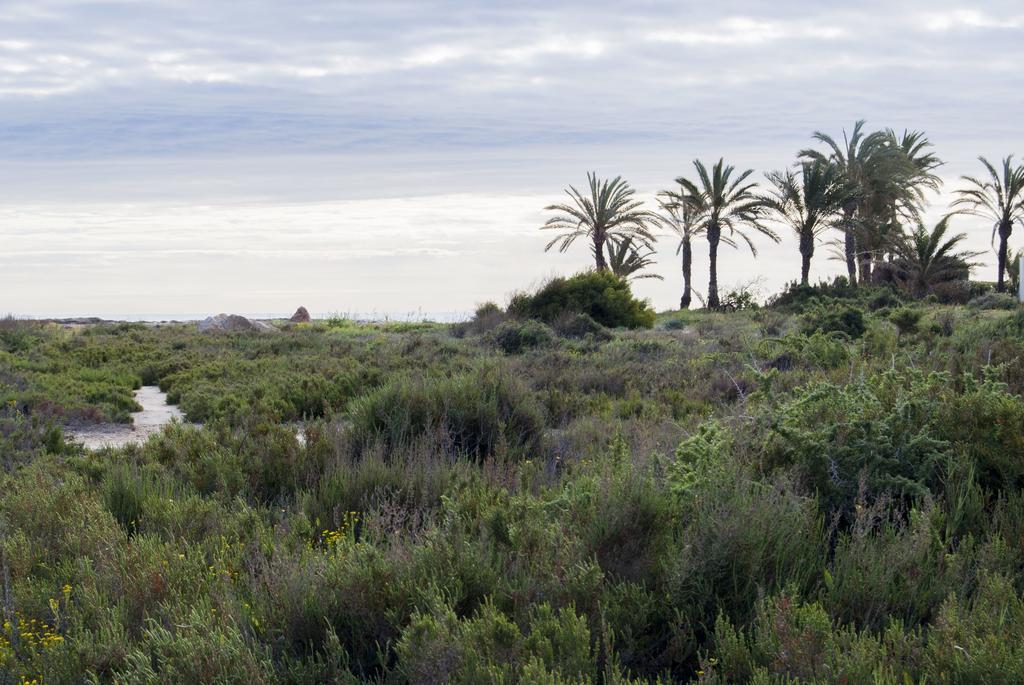 Apartamentos Veneziola Golf II La Manga del Mar Menor Dış mekan fotoğraf